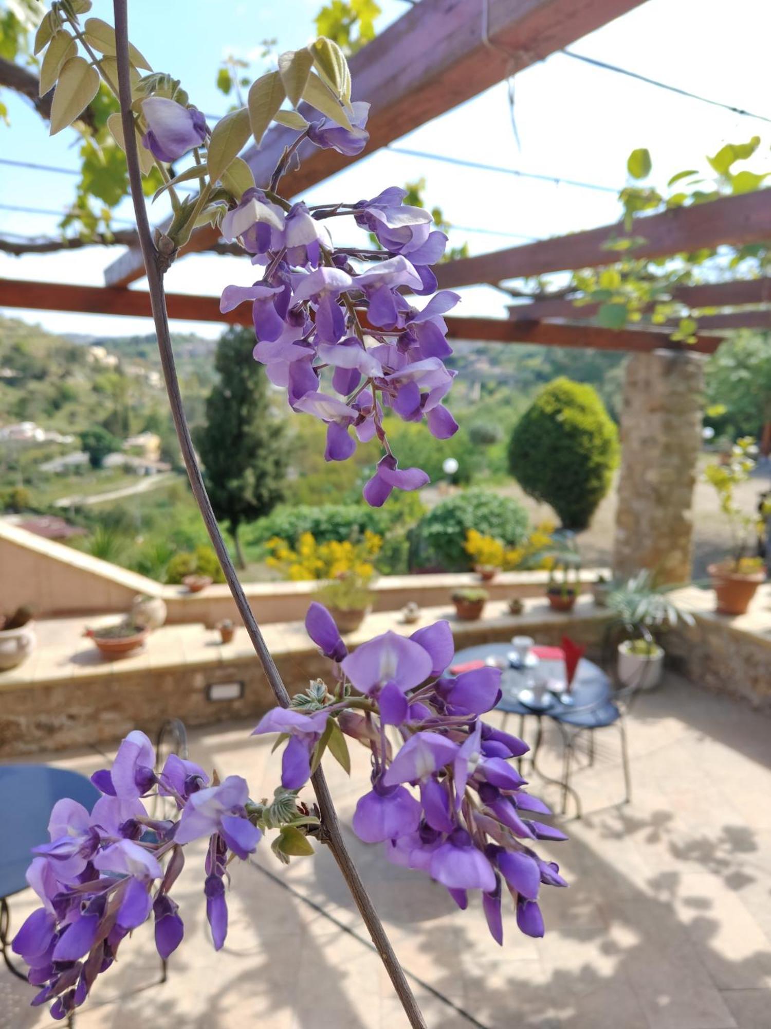 Panorama Suite Piazza Armerina Exterior photo